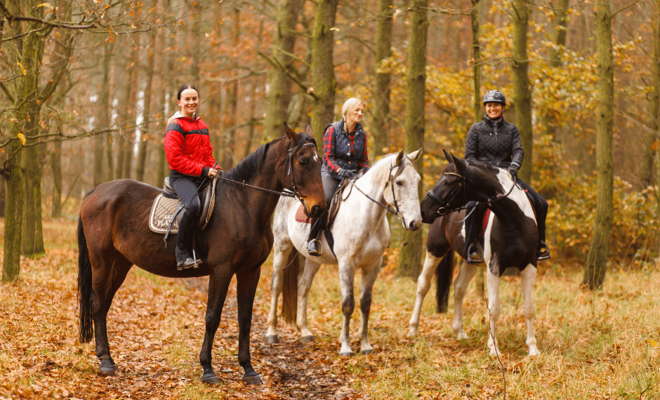 Comment trouver une demi-pension en Île-de-France ?